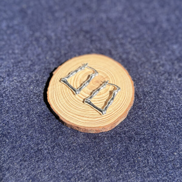 indiski-papuosalai-papuosalai-is-zalvario-zalvariniai-auskarai-zalvariniai-auskarai-kauliukai-s