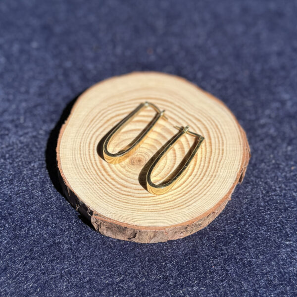 indiski-papuosalai-papuosalai-is-zalvario-zalvariniai-auskarai-zalvariniai-auskarai-25-5-1