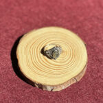 indiski-papuosalai-zalvariniai-apapuosalai-zalvariniai-ziedai-zalvarinis-ziedas-su-kristalu-06-06-2