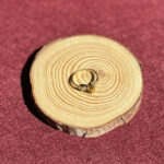 indiski-papuosalai-zalvariniai-apapuosalai-zalvariniai-ziedai-zalvarinis-ziedas-su-kristalu-05-10-2