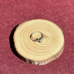 indiski-papuosalai-zalvariniai-apapuosalai-zalvariniai-ziedai-zalvarinis-ziedas-su-kristalu-05-10-3