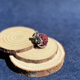 kristalai-kristalu-pakabukai-rudraksos-pakabukas-su-om-1