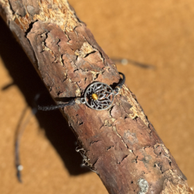 kristalai-kristalu-apyrankes-apyranke-lotus-su-kristalu-1