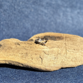 indiski-papuosalai-papuosalai-is-zalvario-zalvariniai-ziedai-zalvarinis-ziedas-su-cirkonio-kristalais-2025-6-0-50