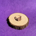 indiski-papuosalai-zalvariniai-apapuosalai-zalvariniai-ziedai-zalvarinis-ziedas-su-cirkonio-kristalais-antistresinis-besisukantis-2025-5-5