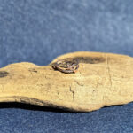 indiski-papuosalai-papuosalai-is-zalvario-zalvariniai-ziedai-zalvarinis-ziedas-su-cirkonio-kristalais-2025-6-0-29