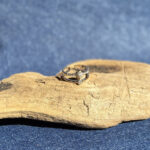 indiski-papuosalai-papuosalai-is-zalvario-zalvariniai-ziedai-zalvarinis-ziedas-su-cirkonio-kristalais-2025-6-0-19