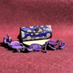 aksesuarai-is-indijos-pinigines-lupdažio-laikiklis-25-5-3