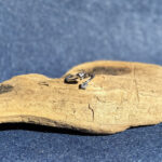 indiski-papuosalai-papuosalai-is-zalvario-zalvariniai-ziedai-zalvarinis-ziedas-su-cirkonio-kristalais-2025-6-0-58