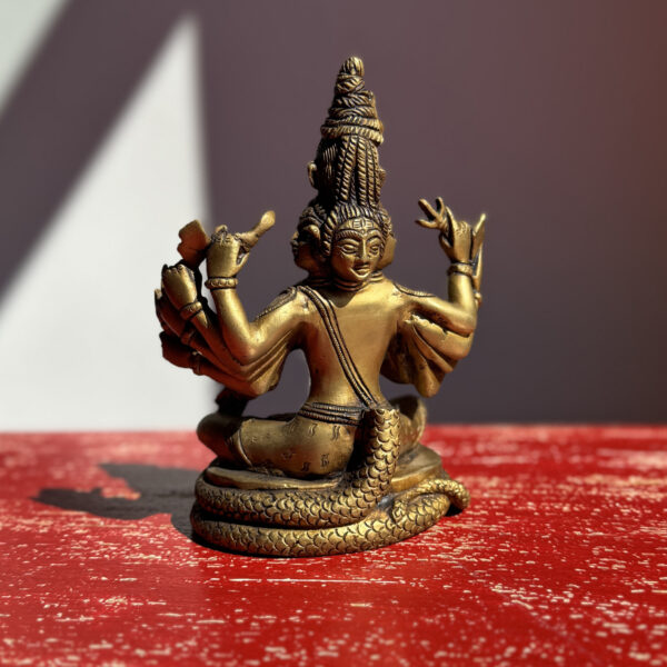 namu-dekoras-zalvarines-statulos-zalvarine-statula--5-veidu-siva-1