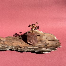 kristalai-dekoratyviniai-kristalai-granato-medelis