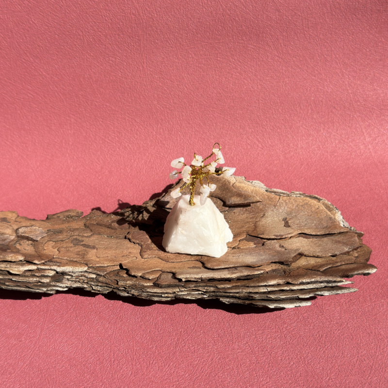 kristalai-dekoratyviniai-kristalai-vaivorykstinio-menulio-akmens-medelis