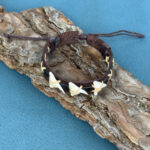 papuosalai-is-indijos-apyrankes-odines-apyrankes-odine-apyranke-su-ryklio-dantimis-3-4