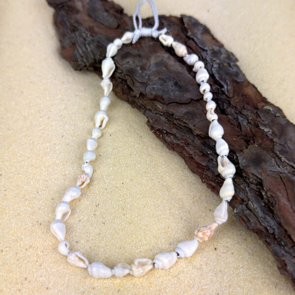 indiski-papuosalai-veriniai-veriniai-is-kriaukliu-verinys-is-kriauklyciu-smulkiu-1