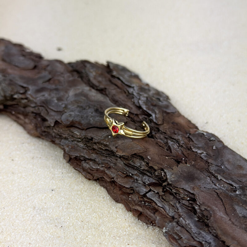 indiski-papuosalai-zalvariniai-papuosalai-ziedai-ant-koju-pirstu-ziedas-koju-pirstams-zvaigzde