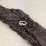 indiski-papuosalai-zalvariniai-papuosalai-ziedai-ant-koju-pirstu-ziedas-koju-pirstams-zvaigzde-2