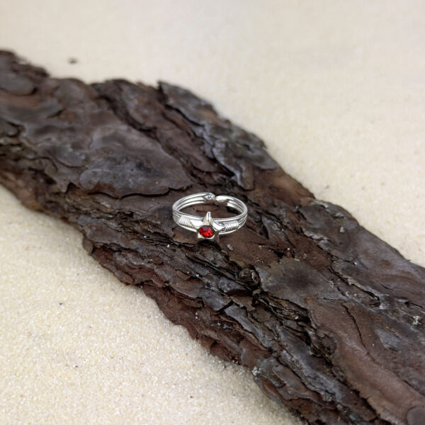 indiski-papuosalai-zalvariniai-papuosalai-ziedai-ant-koju-pirstu-ziedas-koju-pirstams-zvaigzde-2