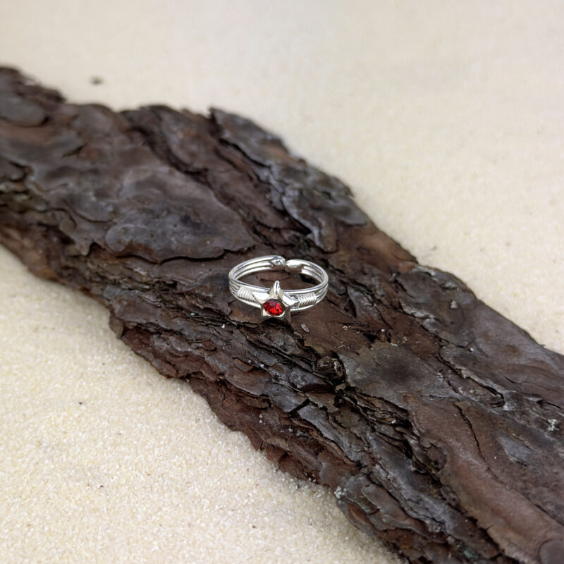 indiski-papuosalai-zalvariniai-papuosalai-ziedai-ant-koju-pirstu-ziedas-koju-pirstams-zvaigzde-2