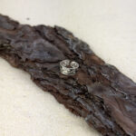 indiski-papuosalai-zalvariniai-papuosalai-ziedai-ant-koju-pirstu-ziedas-koju-pirstams-siaur-