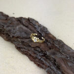 indiski-papuosalai-zalvariniai-papuosalai-ziedai-ant-koju-pirstu-ziedas-koju-pirstams-gele-3