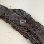 indiski-papuosalai-zalvariniai-papuosalai-ziedai-ant-koju-pirstu-ziedas-koju-pirstams-siaur-7