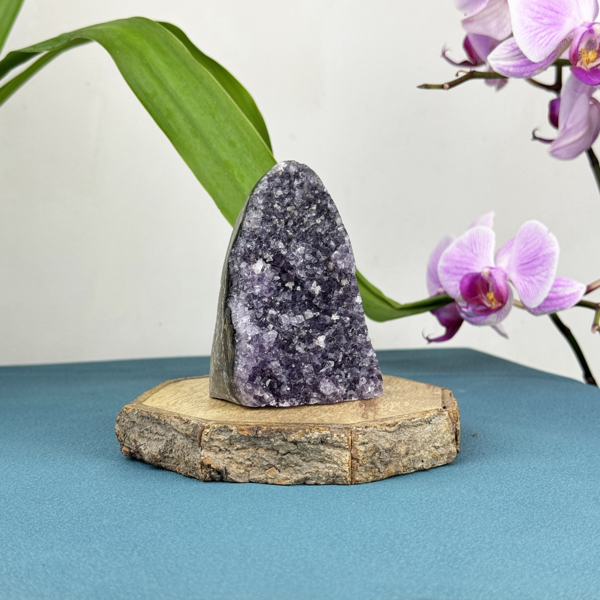 Ametisto drūza kristalai-dekoratyviniai-kristalai-ametisto-druza-brazilija-amd7-1