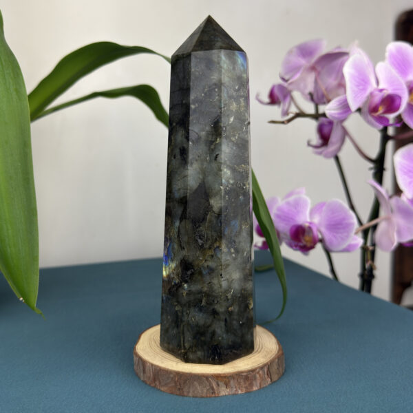 kristalai-dekoratyviniai-kristalai-labradorito-obeliskas-7